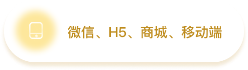 微信、H5、商城、移动端